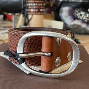 Campomaggi Laser Cut Belt in Cognac